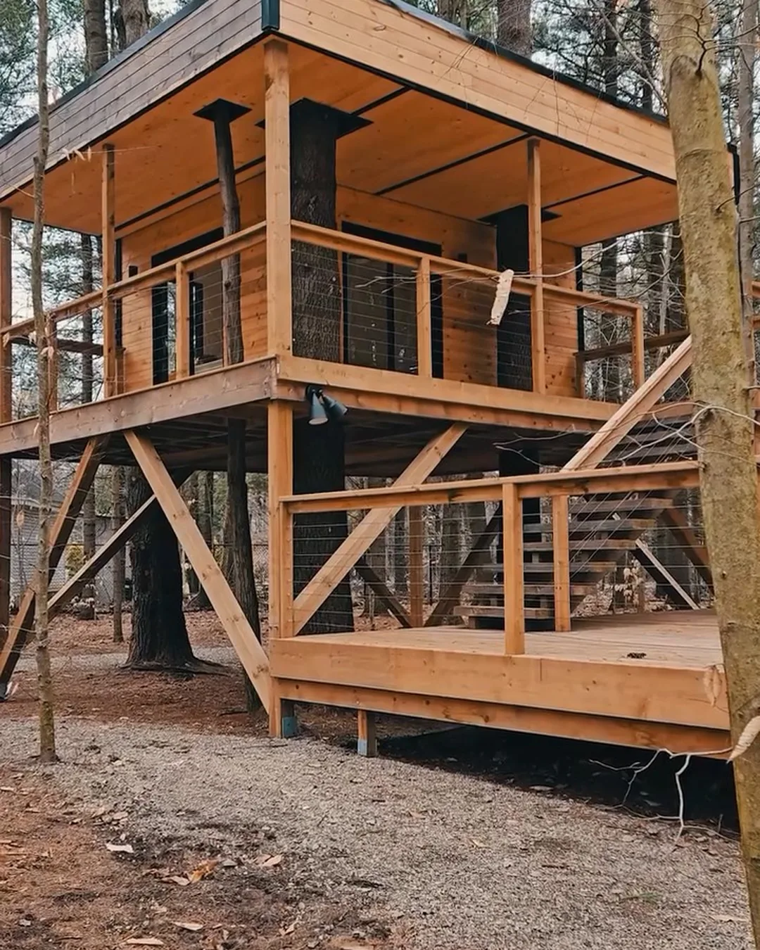 Une cabane dans les arbres · Sévigny Boucher